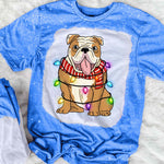 Christmas Bull Dog