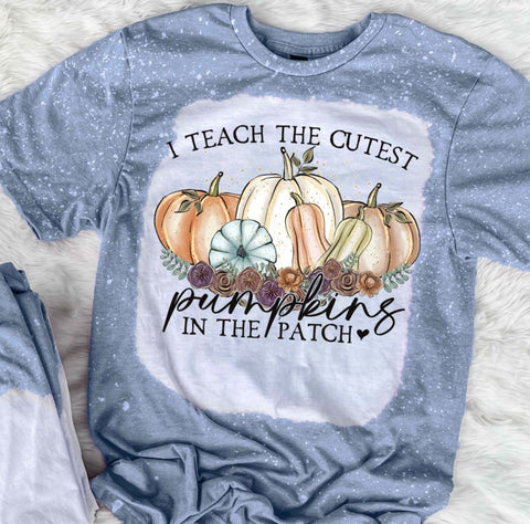 I Teach The Cutest Pumpkins In The Patch