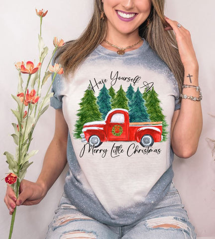 Have Yourself A Merry Little Christmas