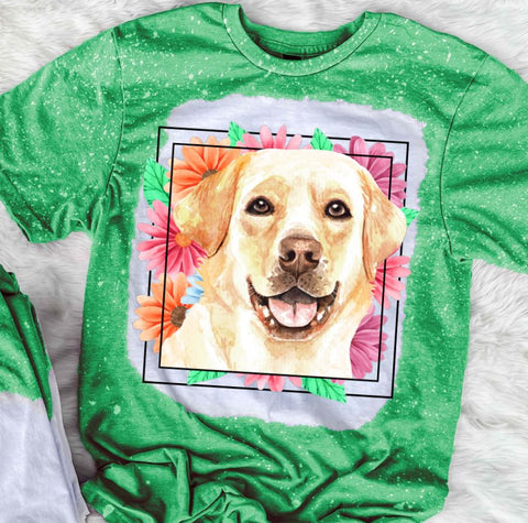 Labrador Mama