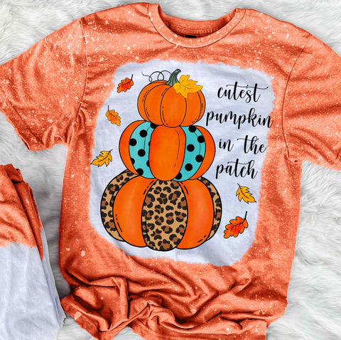 Cutest Pumpkin In The Patch