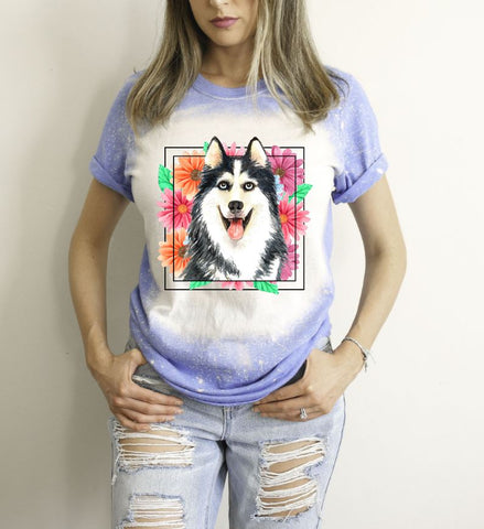 Husky Mama