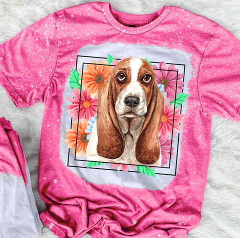 Bassett Hound Mama