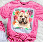Pitbull Mama