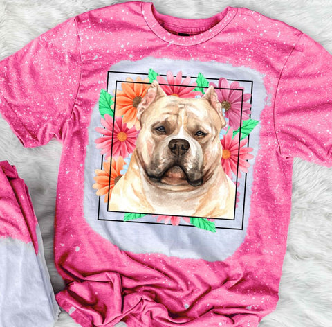 Pitbull Mama
