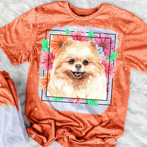 Pomeranian Mama