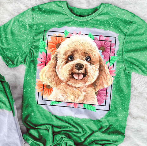 Poodle Mama