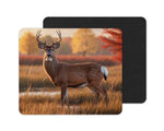 Big Buck