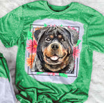Rottweiler Mama