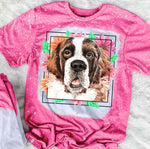 St Bernard Mama