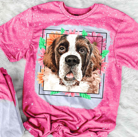 St Bernard Mama