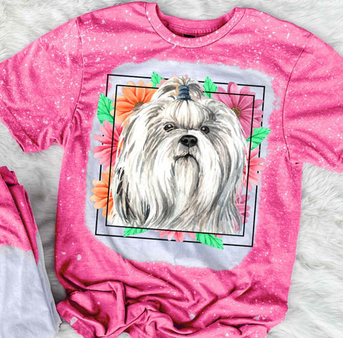 Shih Tzu Mama