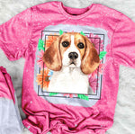 Beagle Mama