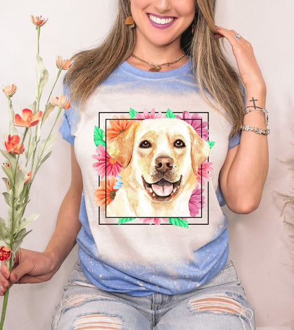 Labrador Mama