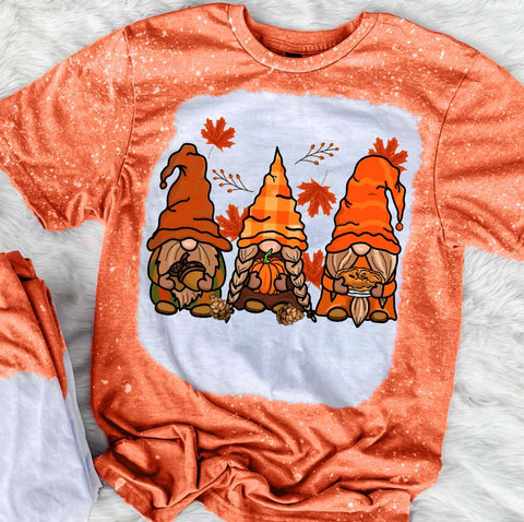 Fall Gnomes