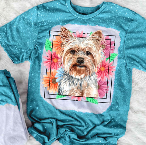 Yorkie Mama