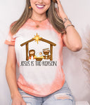 Jesus Is The Reason