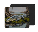 Alligator