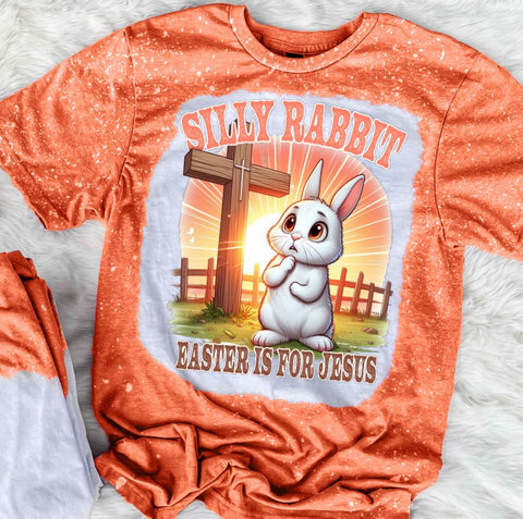 Silly Rabbit Easter Is For Jesus