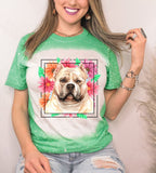 Pitbull Mama