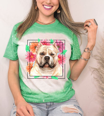 Pitbull Mama