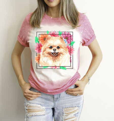 Pomeranian Mama