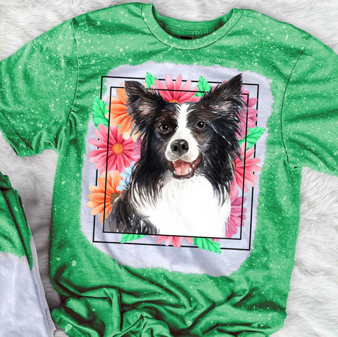 Border Collie Mama