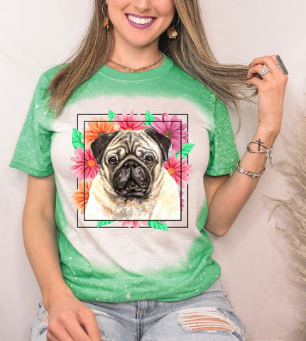 Pug Mama
