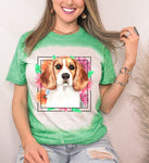 Beagle Mama