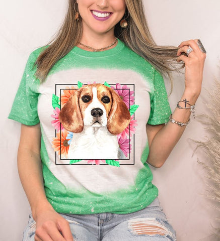 Beagle Mama