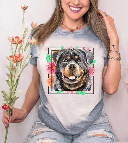 Rottweiler Mama