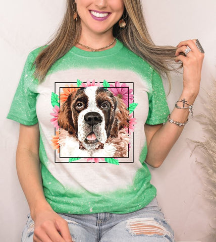 St Bernard Mama