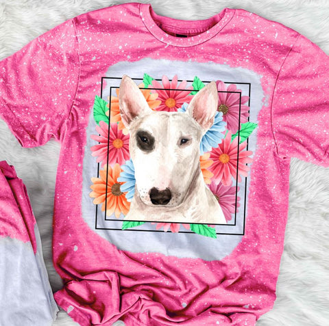 Bull Terrier Mama