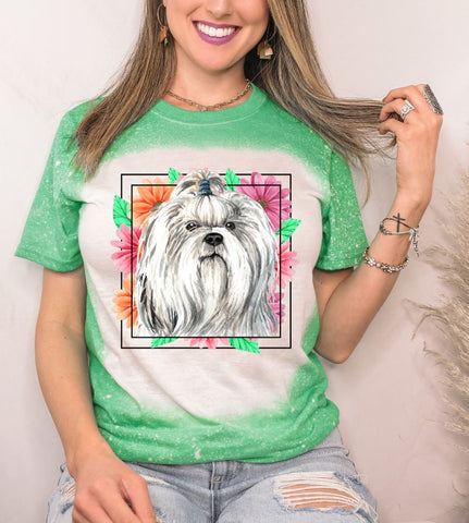 Shih Tzu Mama