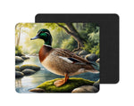 Ducks