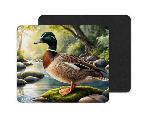 Ducks