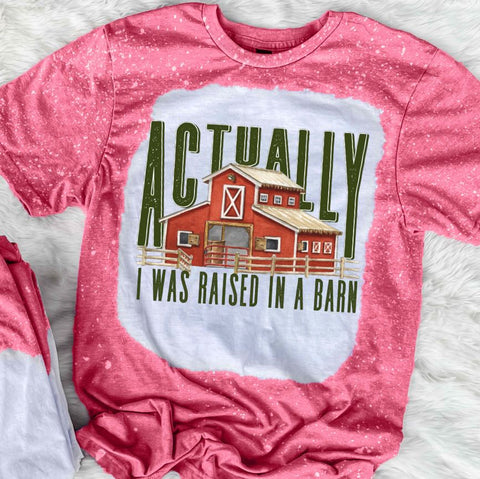 Actually I Was Raised In A Barn