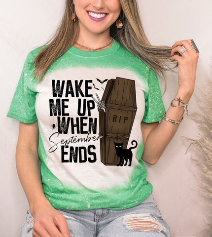 Wake Me Up When September Ends