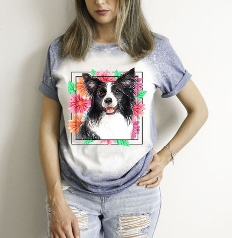 Border Collie Mama