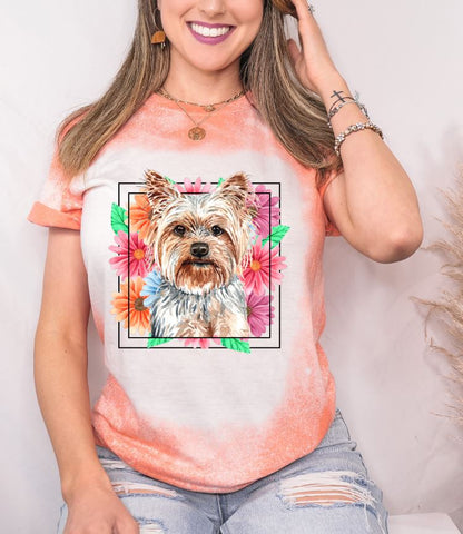 Yorkie Mama