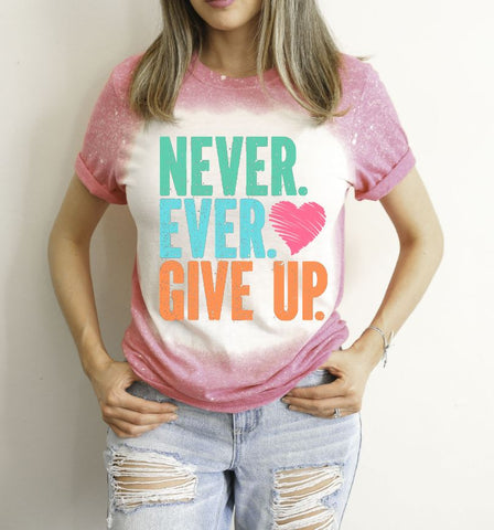 Never Ever Give Up