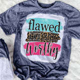 Flawed And Still Worthy