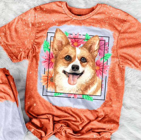 Corgi Mama
