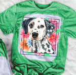Dalmatian Mama
