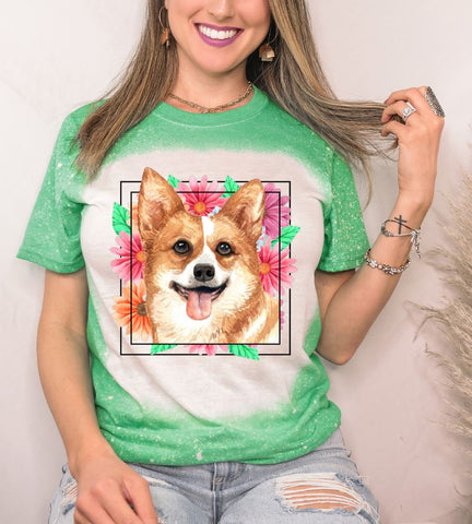 Corgi Mama