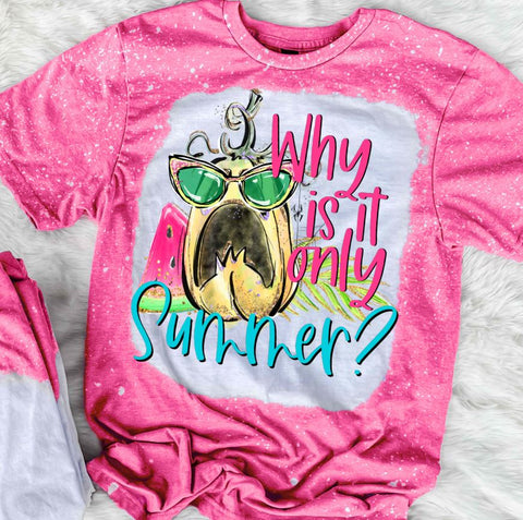 Why Is It Only Summer