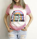 Count Your Rainbows Not Your Storms