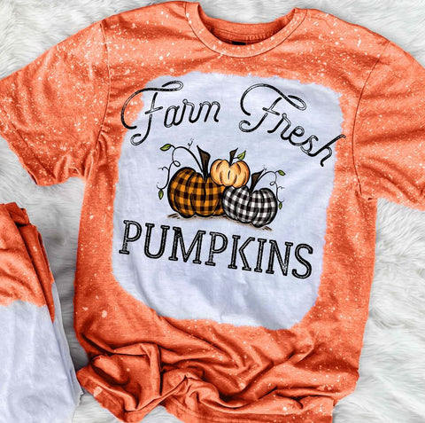 Farm Fresh Pumpkins