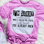 I'm Sorry When I Called You Dumb
