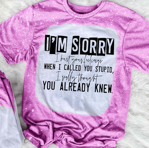 I'm Sorry When I Called You Dumb